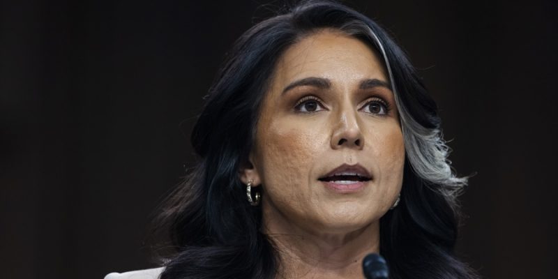 Tulsi Gabbard