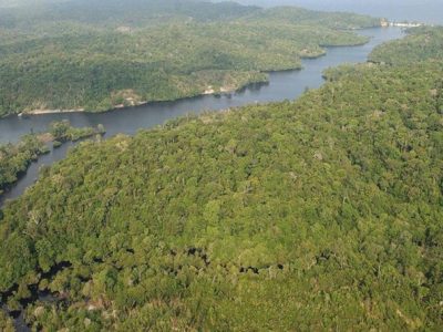 Amazonas