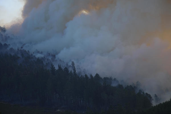 Humo incendios