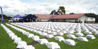 Incautación de droga en Panamá