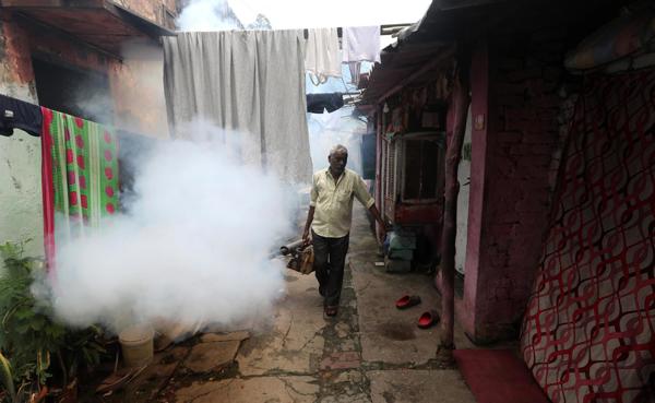 Dengue