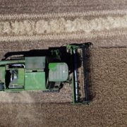 Agricultura - olas de calor