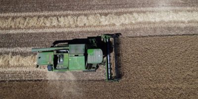 Agricultura - olas de calor