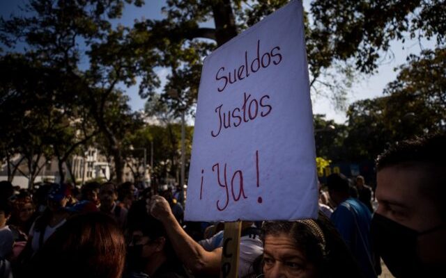 profesores universitarios