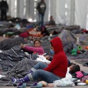 migración