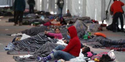 migración