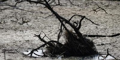 FAO y PMA instan a donar 202 millones de dólares para proteger a 22 países de El Niño