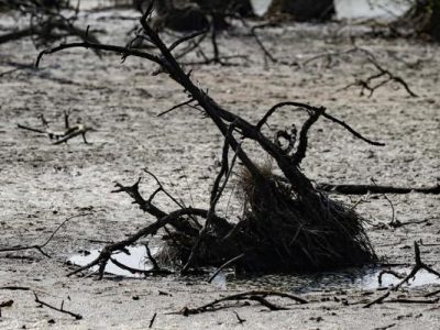 FAO y PMA instan a donar 202 millones de dólares para proteger a 22 países de El Niño