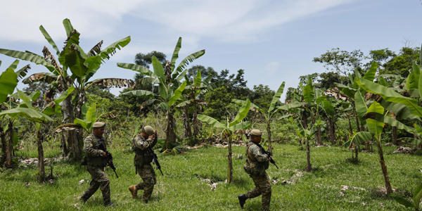 Panamá y Colombia trabajan en la selva del Darién para frenar al Clan del Golfo