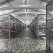 Reporte oficial constata uso de jaulas y otros abusos a inmigrantes en Alligator Alcatraz