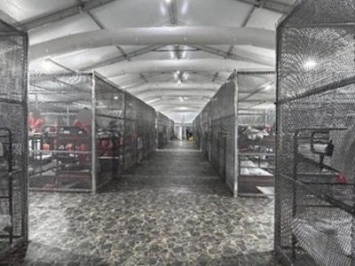 Reporte oficial constata uso de jaulas y otros abusos a inmigrantes en Alligator Alcatraz