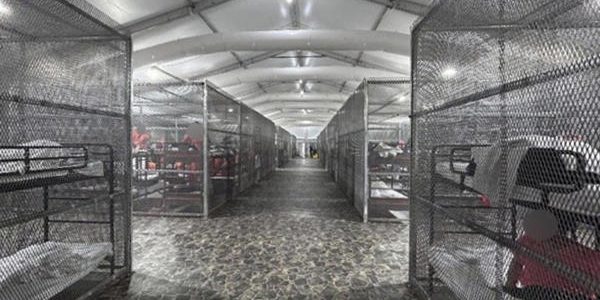Reporte oficial constata uso de jaulas y otros abusos a inmigrantes en Alligator Alcatraz