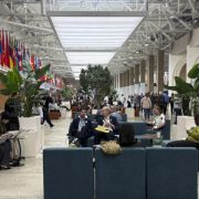 La COP17 revela retrasos en los compromisos internacionales de defensa de la naturaleza