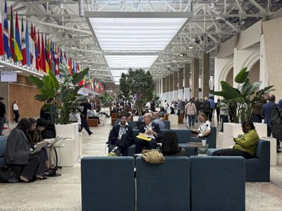 La COP17 revela retrasos en los compromisos internacionales de defensa de la naturaleza