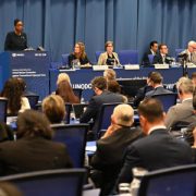 Ocho países latinoamericanos impulsan que la ONU cree un protocolo sobre delitos ambientales
