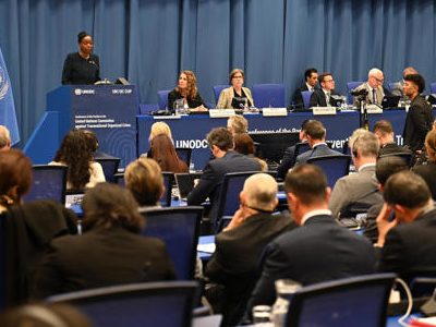 Ocho países latinoamericanos impulsan que la ONU cree un protocolo sobre delitos ambientales