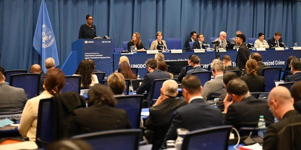 Ocho países latinoamericanos impulsan que la ONU cree un protocolo sobre delitos ambientales