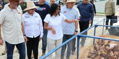 Delcy Rodríguez - Hambre Cero