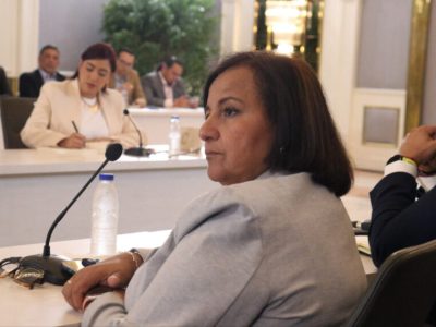 Dinorah Figuera - AN 2015 - diálogo