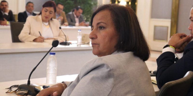 Dinorah Figuera - AN 2015 - diálogo
